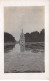 Royaume-Uni - N°90653 - Angleterre -   	This Is Bushy Park In Richmond, London. - Bushley Park - Carte Photo - Other & Unclassified