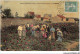 CAR-AAGP8-77-0722 - GRISY-SUISNES - Une Cueillette De Roses - E. Lavigne - Sonstige & Ohne Zuordnung