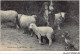 CAR-AAHP7-63-0599 - Gardeuse De Moutons - Agriculture - Sonstige & Ohne Zuordnung