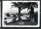 FRANCE FRANCIA CANNES LE PARC ALBERT 1er CARTE CARD CARTOLINA UNUSED NUOVA - Autres & Non Classés