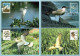 Carte Maximum 1995 - Série Les Oiseaux De John J. Audubon - YT 2929 à YT 2932 - Pigeon, Aigrette, Sterne, Buse - Paris - 1990-1999