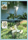 Carte Maximum 1995 - Série Les Oiseaux De John J. Audubon - YT 2929 à YT 2932 - Pigeon, Aigrette, Sterne, Buse - Paris - 1990-1999