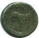 BULL Auténtico ORIGINAL GRIEGO ANTIGUO Moneda 5.1g/19mm #AF904.12.E.A - Griechische Münzen