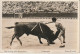 NE 22- ESPAGNE - CORRIDA -  COUP D' EPEE - ESTOCADA - 2 SCANS - Corrida