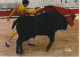 NE 22- CORRIDA - PASSE HAUTE DE MARTIN - CARTE COULEURS - 2 SCANS - Corrida