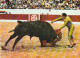 NE 22- CORRIDA - ESTOCADE DE R . ORTEGA - ESTOCADA  - CARTE COULEURS - 2 SCANS - Corridas