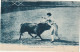 NE 22-  CORRIDA DE TOROS - SUERTE DE BANDERILLOS - LA POSE DES BANDERILLES - 2 SCANS - Stierkampf