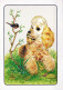 HUND Tier Vintage Ansichtskarte Postkarte CPSM #PAN946.A - Perros