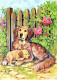 DOG Animals Vintage Postcard CPSM #PAN772.A - Dogs