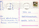 PERRO Animales Vintage Tarjeta Postal CPSM #PAN728.A - Perros
