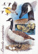 VOGEL Tier Vintage Ansichtskarte Postkarte CPSM #PAN101.A - Birds