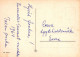 OISEAU Animaux Vintage Carte Postale CPSM #PAM984.A - Uccelli