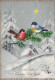 PÁJARO Animales Vintage Tarjeta Postal CPSM #PAM972.A - Oiseaux