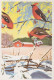 PÁJARO Animales Vintage Tarjeta Postal CPSM #PAM912.A - Birds
