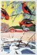 PÁJARO Animales Vintage Tarjeta Postal CPSM #PAM912.A - Vogels