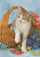 CAT KITTY Animals Vintage Postcard CPSM #PAM106.A - Chats