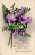 R549516 Many Happy Returns. Orchids. Tuck. Rapholette Glosso. Series No. R. 6100 - World