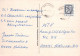 CERDOS Animales Vintage Tarjeta Postal CPSM #PBR775.A - Pigs