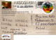 VACHE Animaux Vintage Carte Postale CPSM #PBR837.A - Koeien