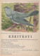 BIRD Animals Vintage Postcard CPSM #PBR719.A - Vogels