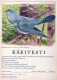BIRD Animals Vintage Postcard CPSM #PBR719.A - Uccelli