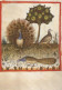 UCCELLO Animale Vintage Cartolina CPSM #PBR456.A - Vögel