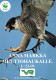 PÁJARO Animales Vintage Tarjeta Postal CPSM #PBR430.A - Birds