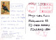 OISEAU Animaux Vintage Carte Postale CPSM #PBR387.A - Vögel