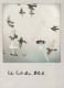 PÁJARO Animales Vintage Tarjeta Postal CPSM #PBR385.A - Oiseaux