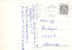 PASCUA POLLO Vintage Tarjeta Postal CPSM #PBO892.A - Pascua