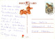 PERRO Animales LENTICULAR 3D Vintage Tarjeta Postal CPSM #PAZ141.A - Dogs