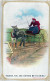 ASINO Animale Vintage CPA Cartolina #PAA286.A - Burros