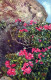 FLOWERS Vintage Ansichtskarte Postkarte CPA #PKE560.A - Blumen
