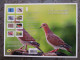 France 2022 Biodiversity MARTINIQUE Bird Iguane Dragonfly Dolphin Eagle 8v COLLECTOR - Unused Stamps