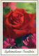 FLOWERS Vintage Ansichtskarte Postkarte CPSM #PAS215.DE - Blumen