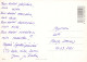 FLOWERS Vintage Ansichtskarte Postkarte CPSM #PAS035.DE - Fleurs