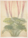 FLOWERS Vintage Ansichtskarte Postkarte CPSM #PAR253.DE - Flowers