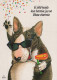HUND Tier Vintage Ansichtskarte Postkarte CPSM #PAN879.DE - Dogs