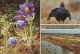 VOGEL Tier Vintage Ansichtskarte Postkarte CPSM #PAN359.DE - Birds