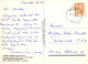 FLORES Vintage Tarjeta Postal CPSM #PAS697.ES - Blumen