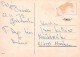 FLORES Vintage Tarjeta Postal CPSM #PAS333.ES - Fleurs