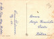 FLORES Vintage Tarjeta Postal CPSM #PAR972.ES - Blumen