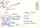 FLORES Vintage Tarjeta Postal CPSM #PAR070.ES - Flowers