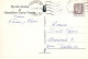PÁJARO Animales Vintage Tarjeta Postal CPSM #PAM926.ES - Oiseaux