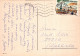 GATO GATITO Animales Vintage Tarjeta Postal CPSM #PAM111.ES - Chats