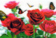 FLOWERS LENTICULAR 3D Vintage Ansichtskarte Postkarte CPSM #PAZ171.DE - Fleurs