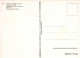 TREN TRANSPORTE Ferroviario Vintage Tarjeta Postal CPSM #PAA813.ES - Eisenbahnen