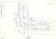 FLEURS Vintage Carte Postale CPSM #PAR673.FR - Bloemen