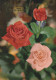 FLEURS Vintage Carte Postale CPSM #PAR973.FR - Flowers