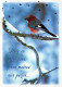 OISEAU Animaux Vintage Carte Postale CPSM #PAN052.FR - Vogels